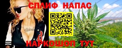 наркотики Сланцы