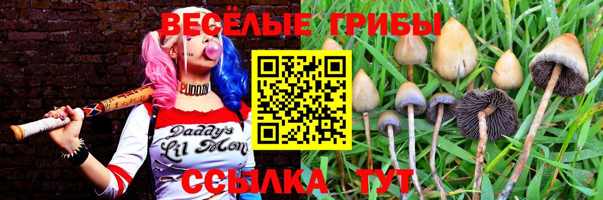 Псилоцибиновые грибы мухоморы Рославль
